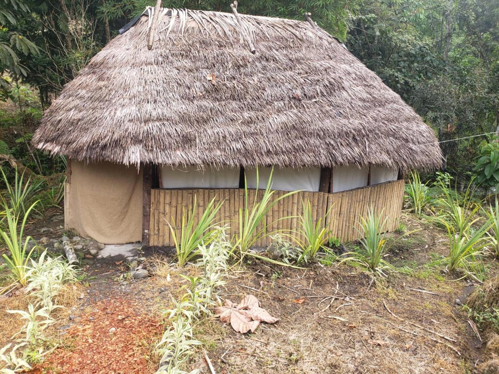 Hosteria Cacique Wasi Hotel Puyo Bagian luar foto